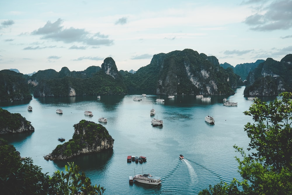 Vietnam Paid Internships